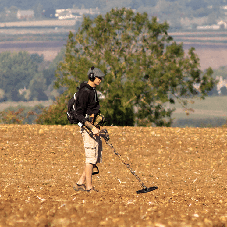 DDL Home - Metal Detectors